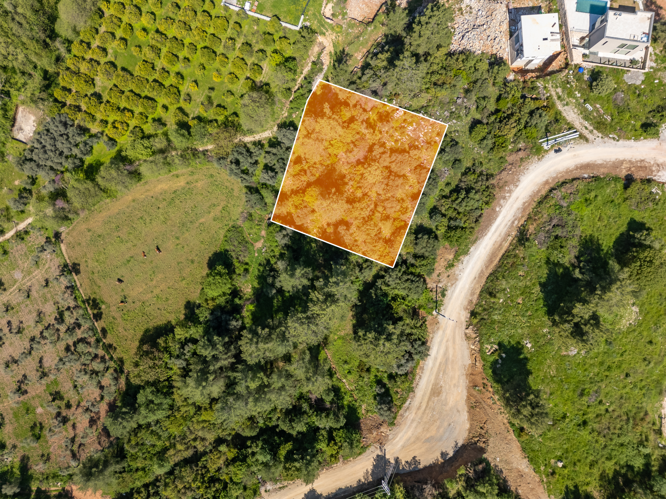 DJI_0582-HDR-Edit Ula Çıtlık’ta Yerleşime Yakın 503 m2 Satılık Villa Arsası