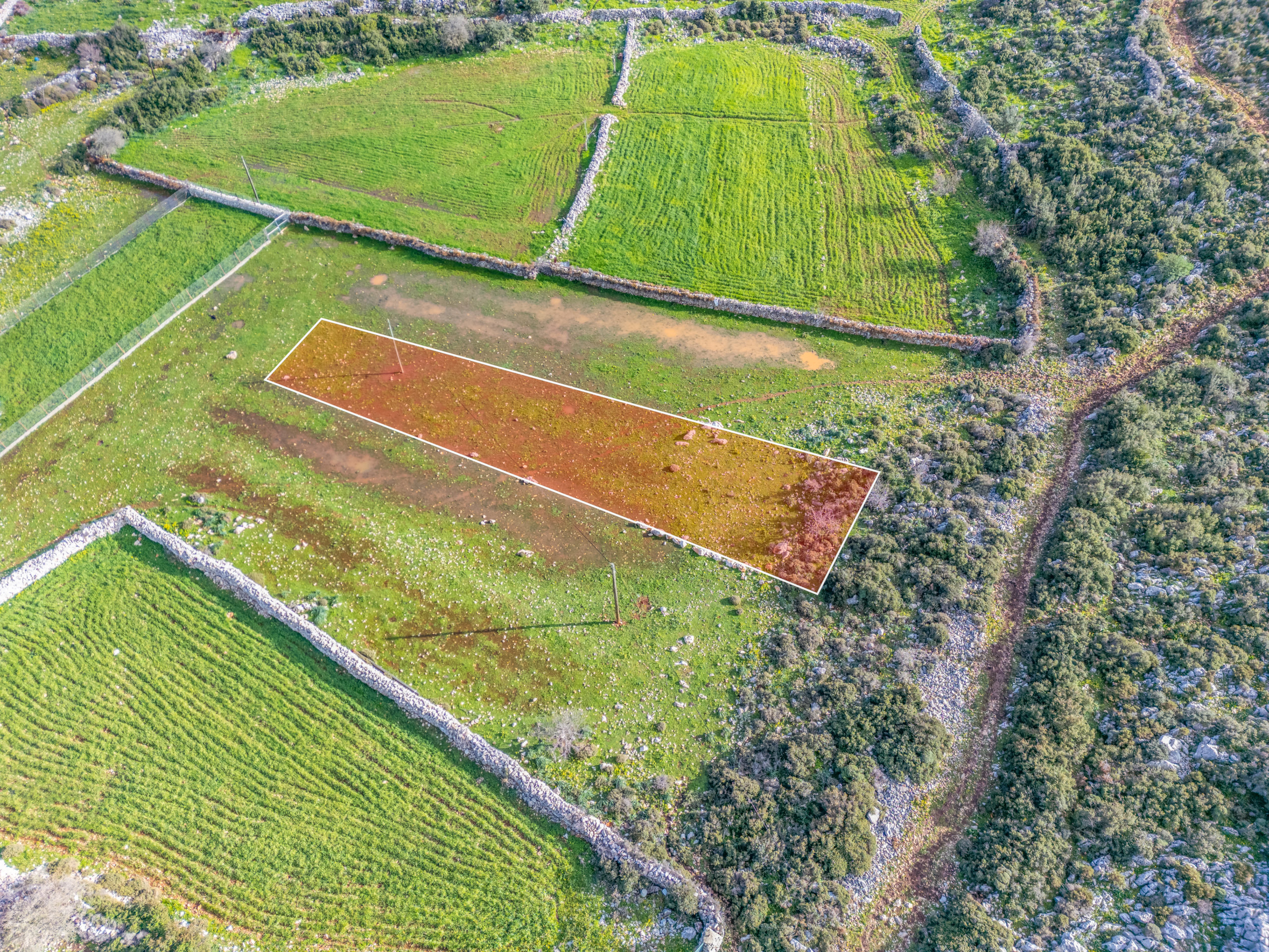 DJI_0680-Edit Taşlıca Söğüt Sınırında Merkeze Yakın Müstakil Tapulu Tarla
