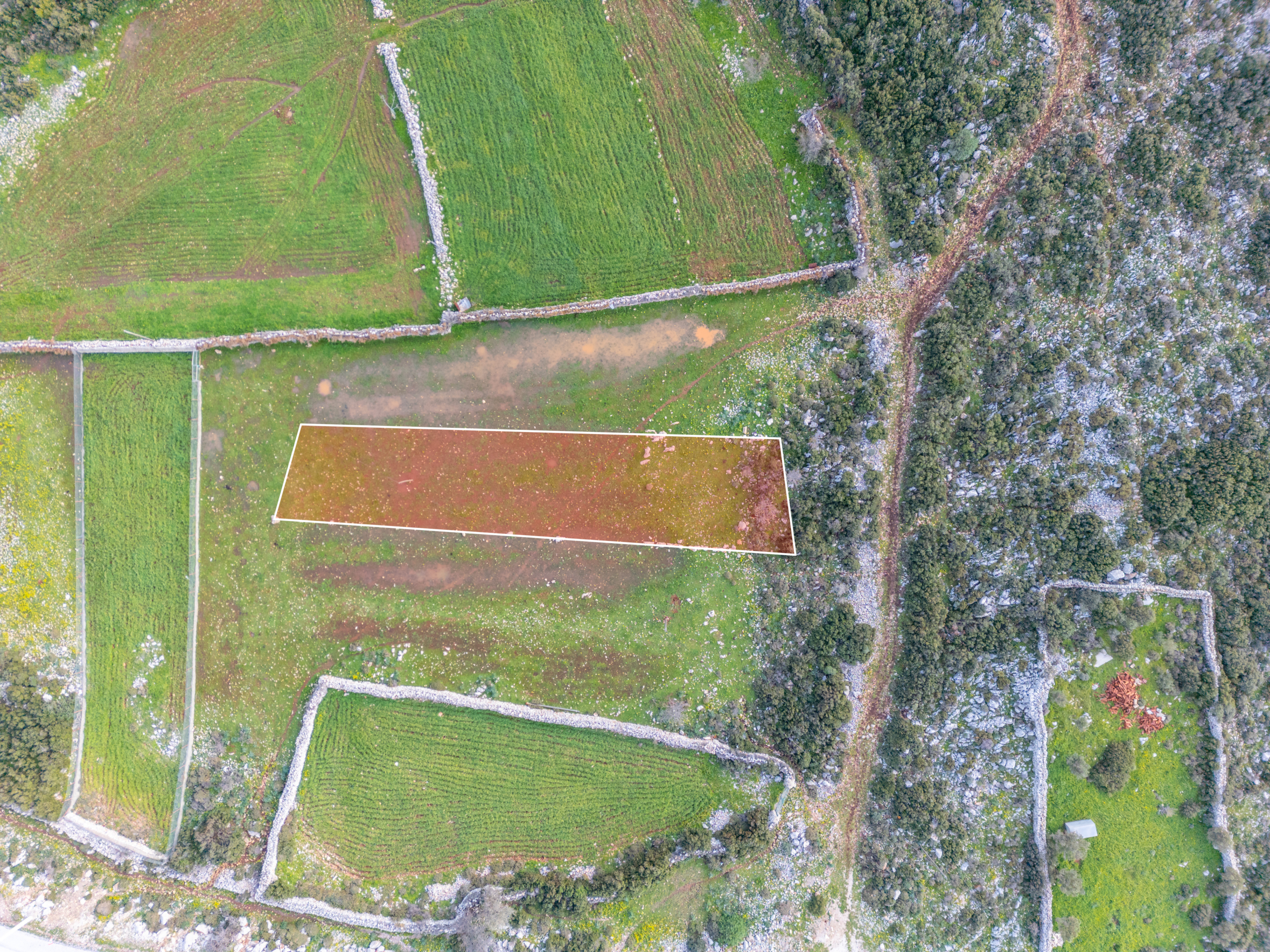 DJI_0692-Edit Taşlıca Söğüt Sınırında Merkeze Yakın Müstakil Tapulu Tarla