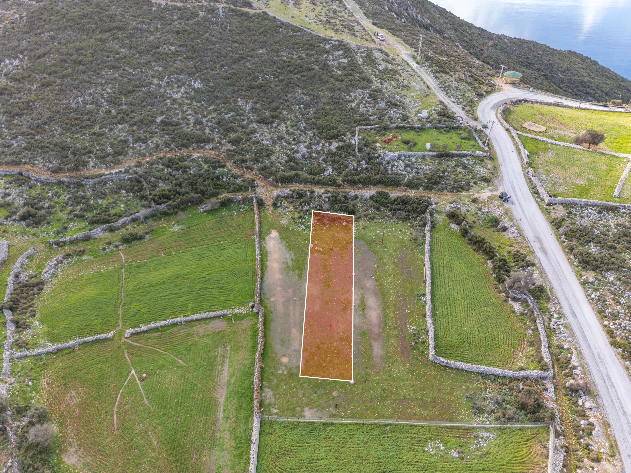 DJI_0696-Edit Taşlıca Söğüt Sınırında Merkeze Yakın Müstakil Tapulu Tarla