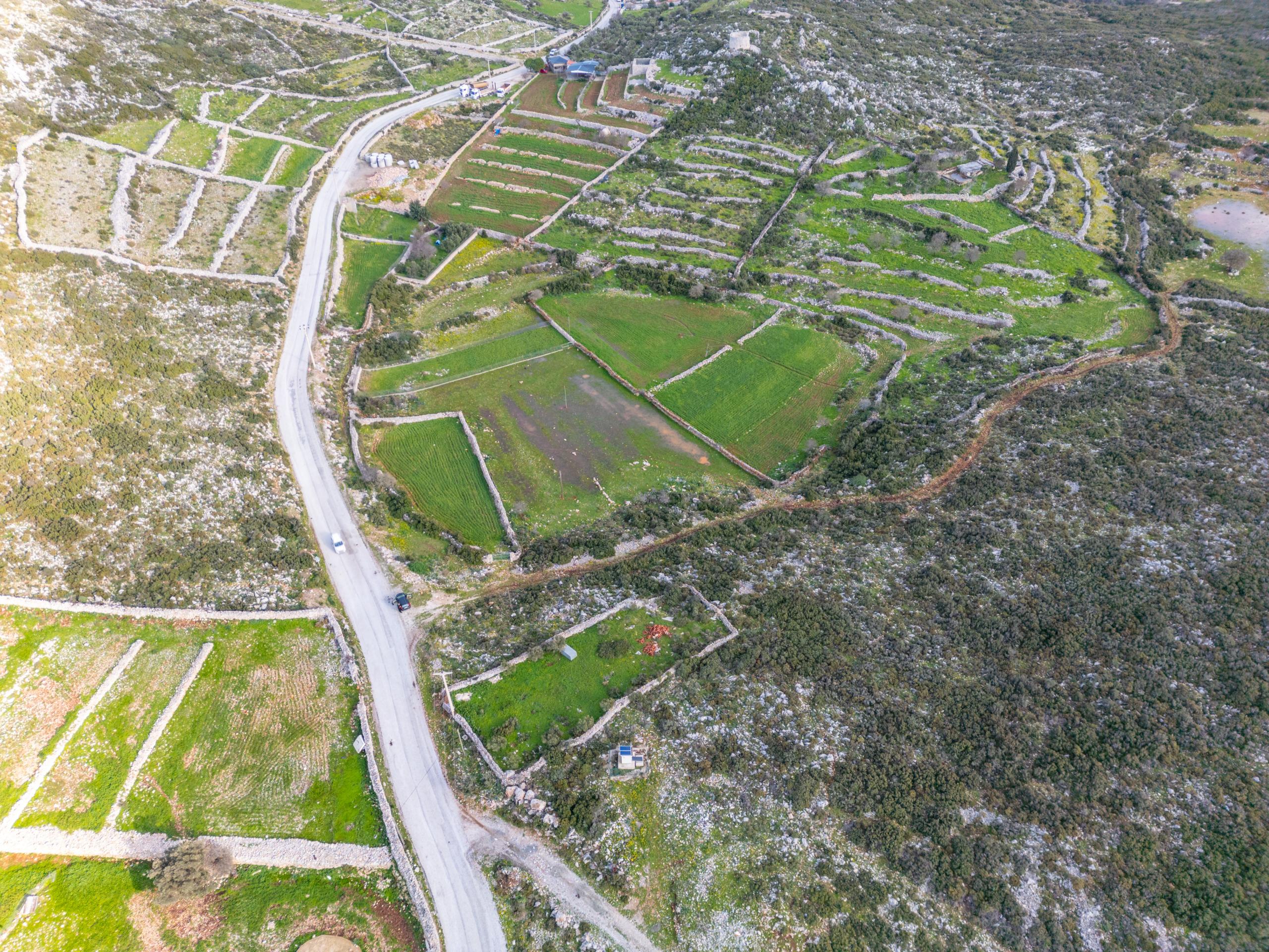 DJI_0703 Taşlıca Söğüt Sınırında Merkeze Yakın Müstakil Tapulu Tarla
