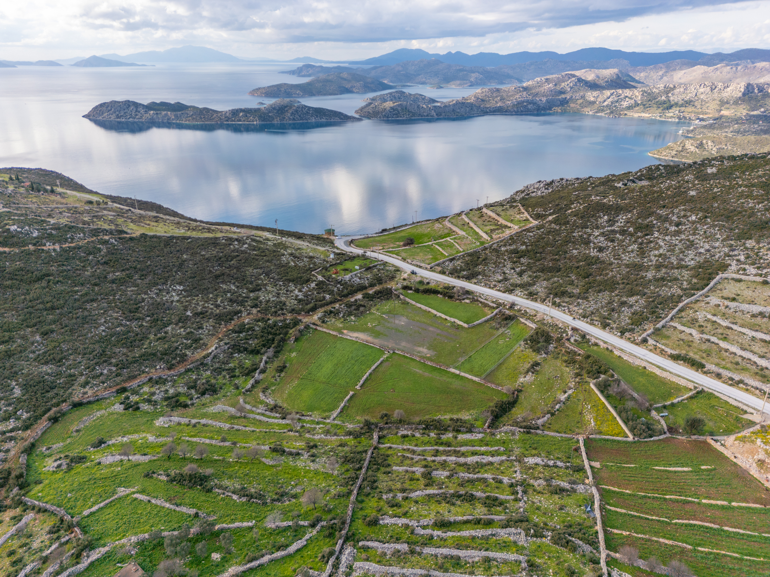 DJI_0706 Taşlıca Söğüt Sınırında Merkeze Yakın Müstakil Tapulu Tarla