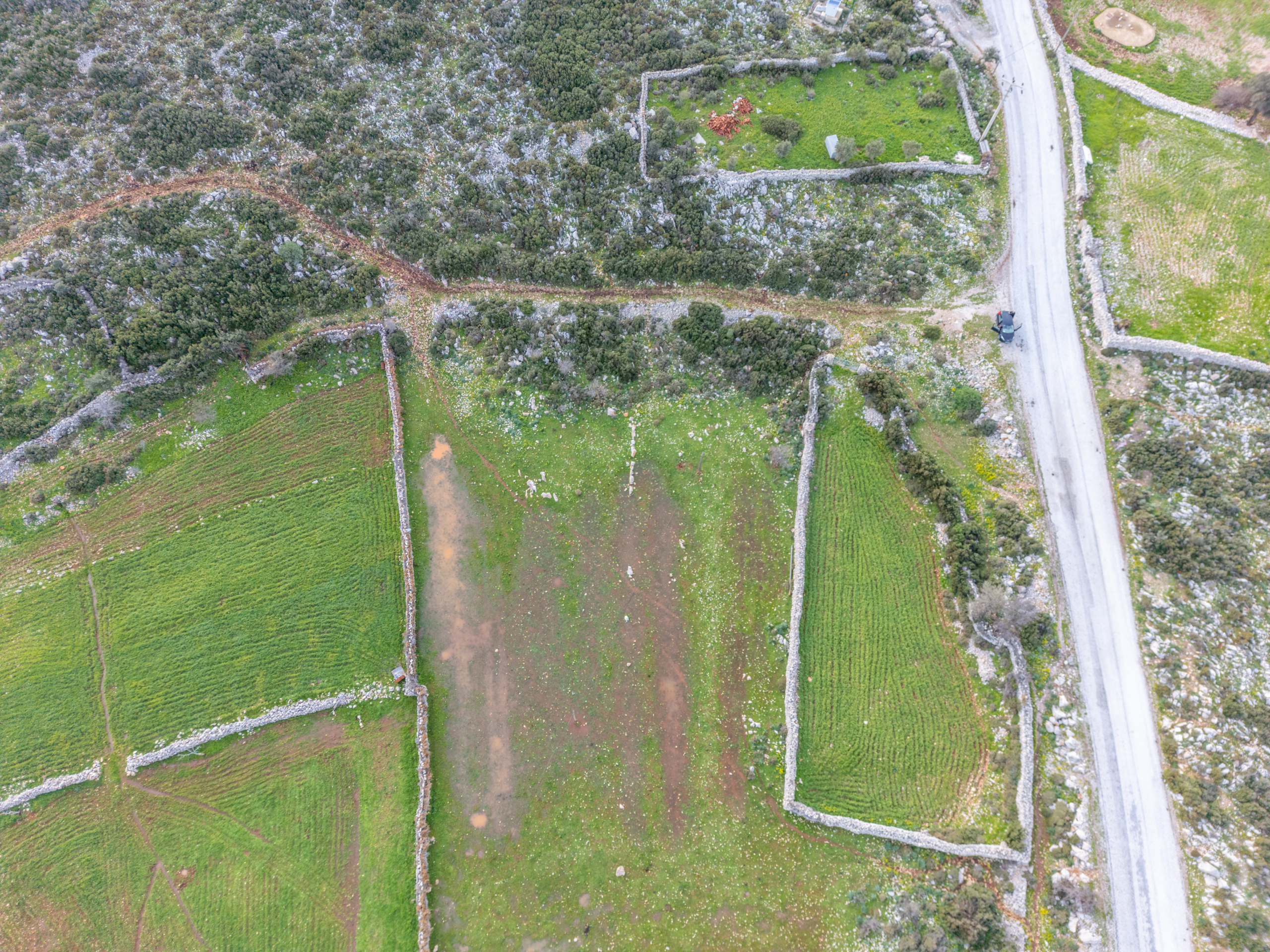 DJI_0708 Taşlıca Söğüt Sınırında Merkeze Yakın Müstakil Tapulu Tarla