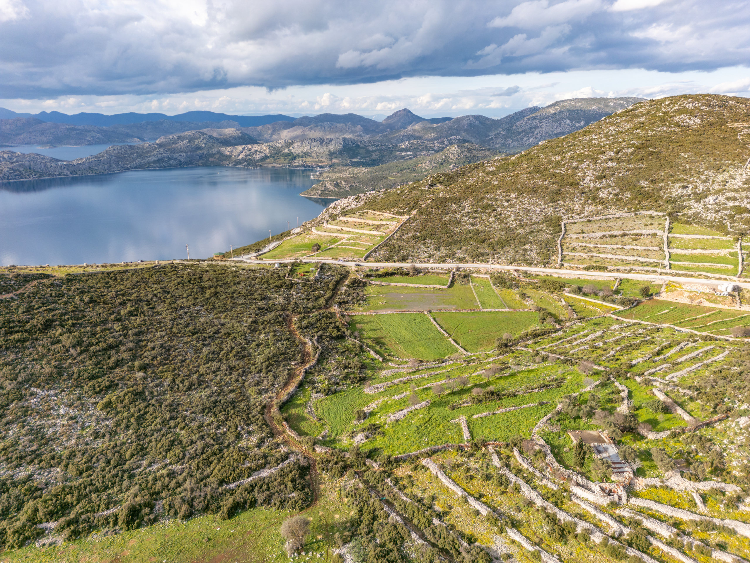 DJI_0718 Taşlıca Söğüt Sınırında Merkeze Yakın Müstakil Tapulu Tarla