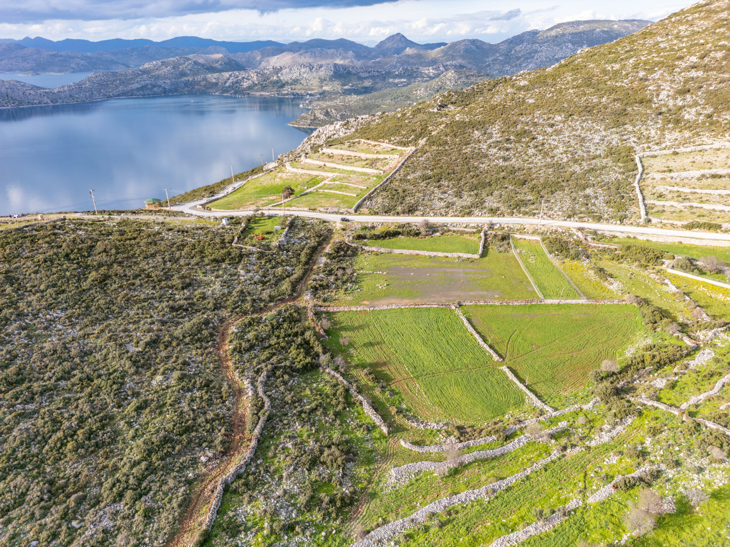 DJI_0719 Taşlıca Söğüt Sınırında Merkeze Yakın Müstakil Tapulu Tarla