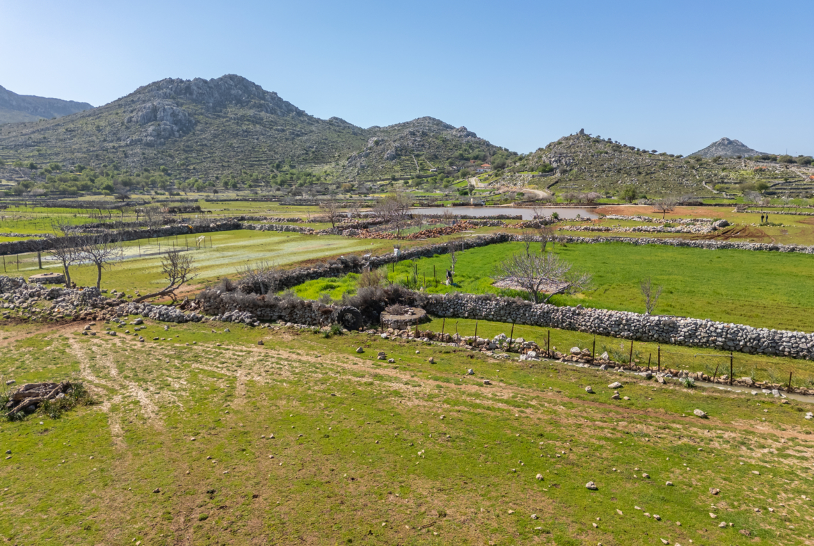 Marmaris Taşlıca’da Yola Cepheli Yatırımlık 447m² Tarla