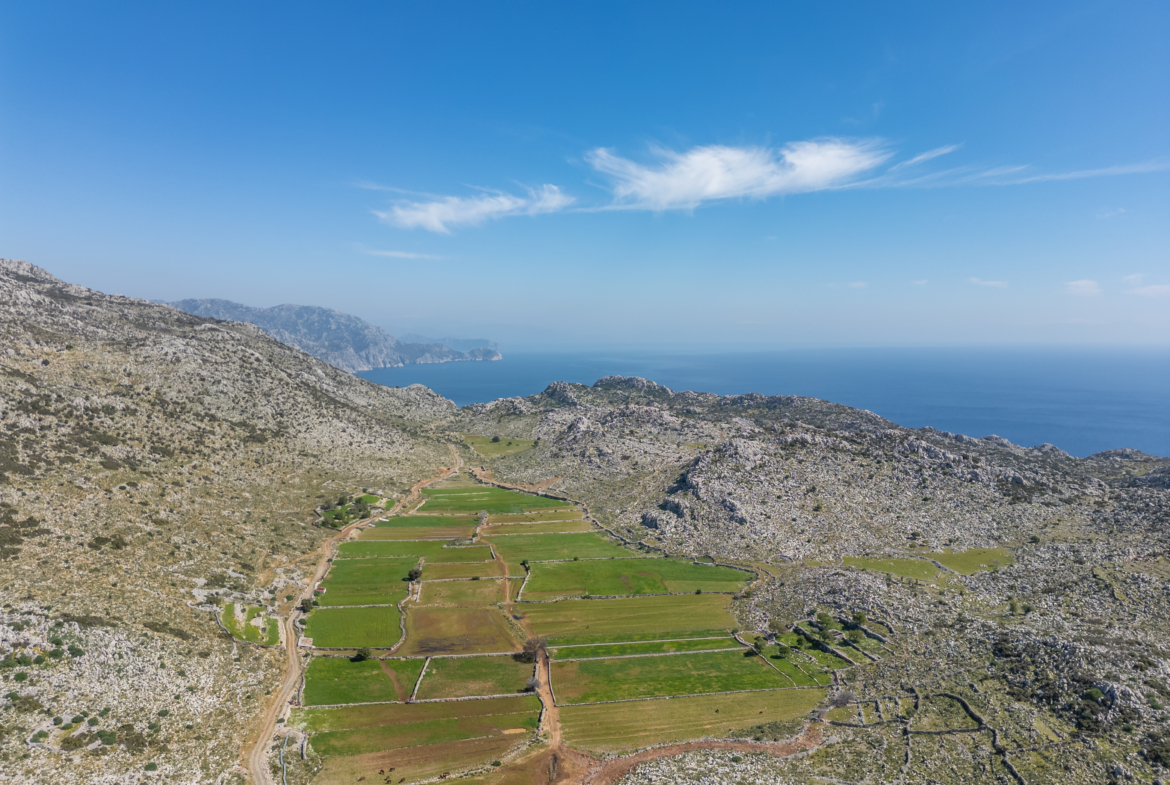 Marmaris Taşlıca’da Yola Cepheli Yatırımlık 447m² Tarla