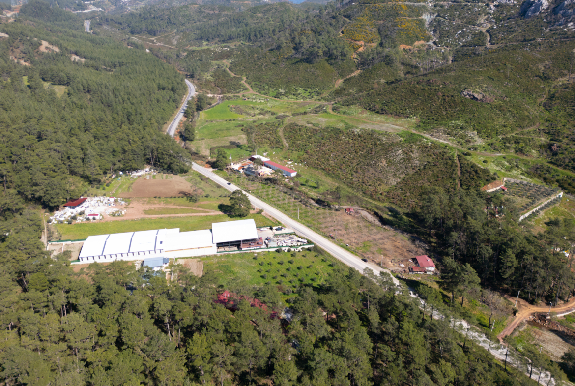 Marmaris Karayolu Üzeri Satılık 5.300 m² Yatırımlık Kupon Arazi