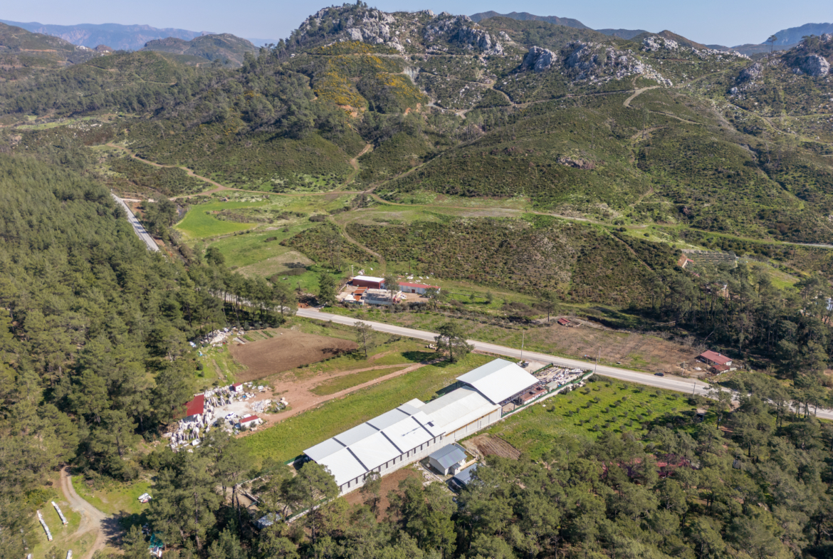 Marmaris Karayolu Üzeri Satılık 5.300 m² Yatırımlık Kupon Arazi