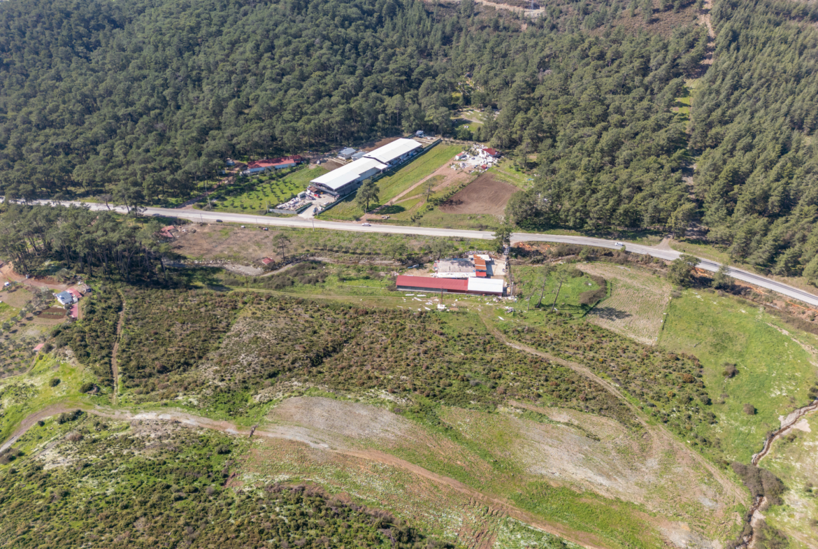 Marmaris Karayolu Üzeri Satılık 5.300 m² Yatırımlık Kupon Arazi