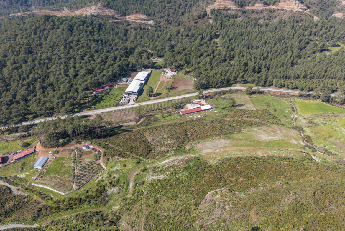 Marmaris Karayolu Üzeri Satılık 5.300 m² Yatırımlık Kupon Arazi