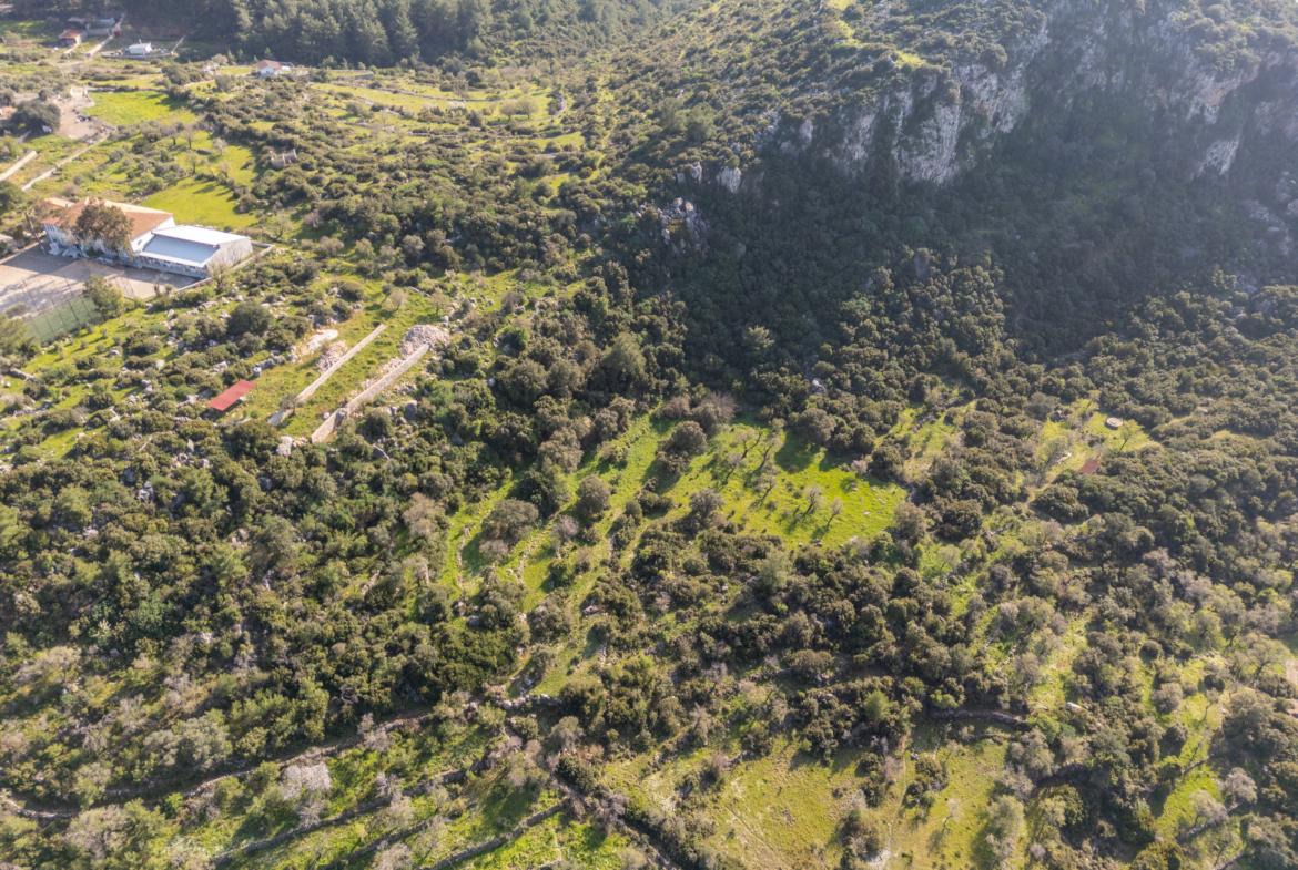 Söğüt Cumhuriyet Yolu Üzerinde 2.244 m² Müstakil Tapulu Yatırım