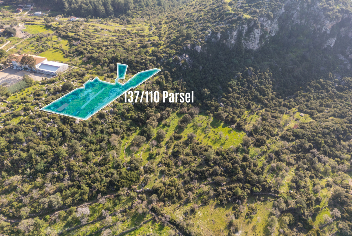 Söğüt Cumhuriyet Yolu Üzerinde 2.244 m² Müstakil Tapulu Yatırım