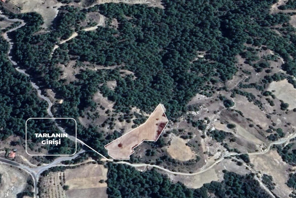 Menteşe Dokuzçamda Yola Cepheli 6.338 m² Müstakil Tapulu