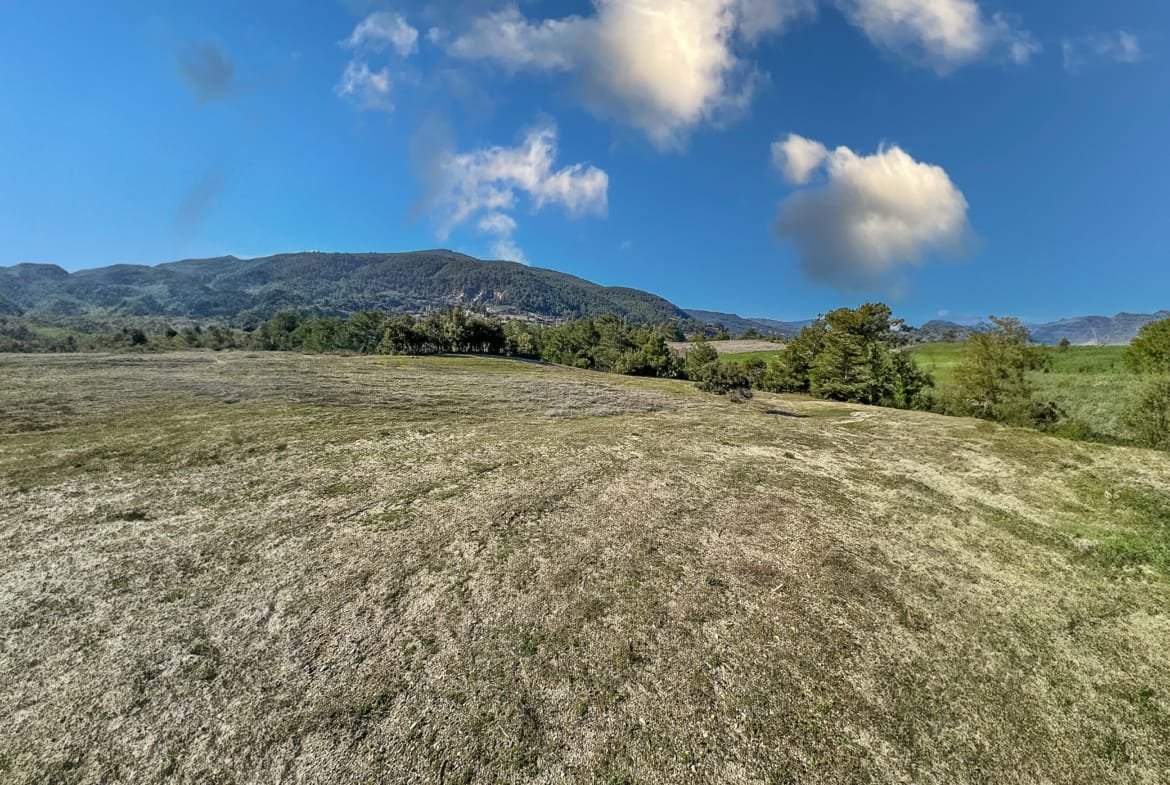 Menteşe Dokuzçamda Yola Cepheli 6.338 m² Müstakil Tapulu