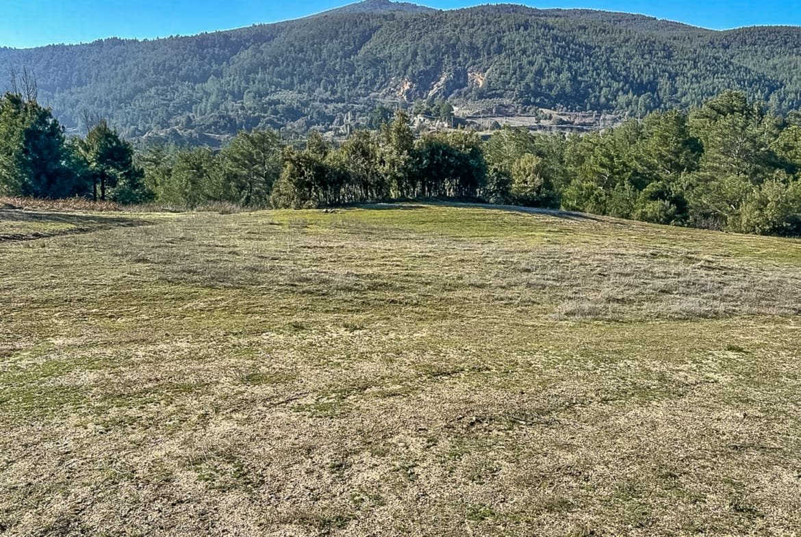 Menteşe Dokuzçamda Yola Cepheli 6.338 m² Müstakil Tapulu