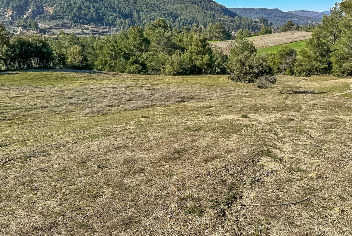 Menteşe Dokuzçamda Yola Cepheli 6.338 m² Müstakil Tapulu