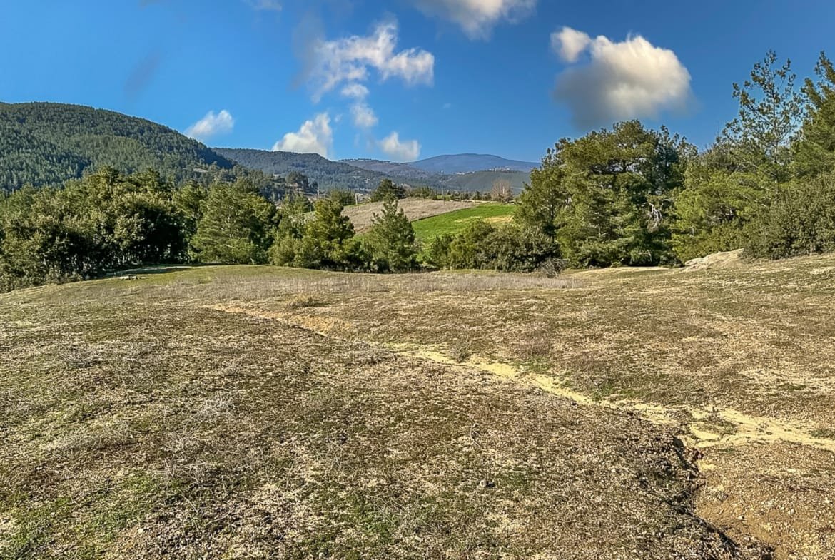Menteşe Dokuzçamda Yola Cepheli 6.338 m² Müstakil Tapulu