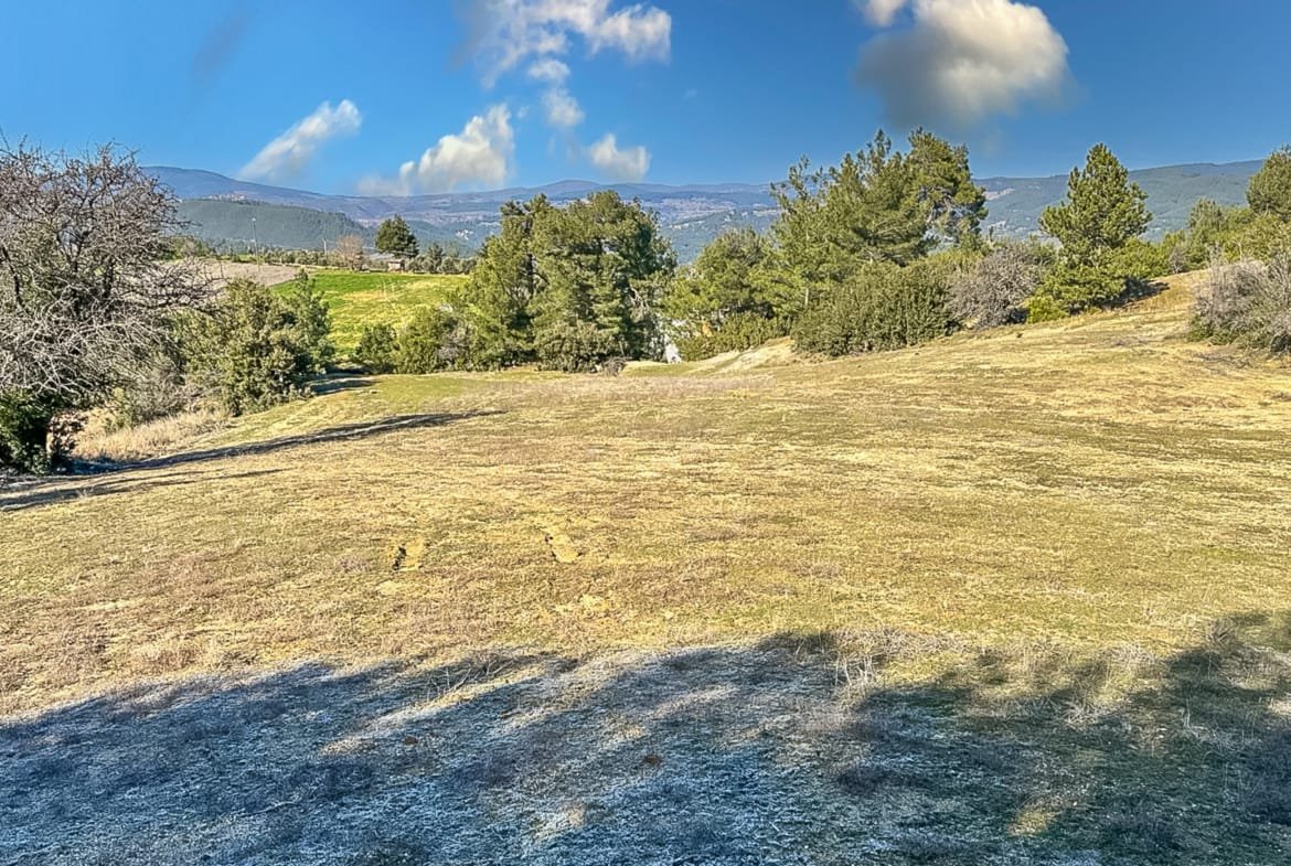 Menteşe Dokuzçamda Yola Cepheli 6.338 m² Müstakil Tapulu