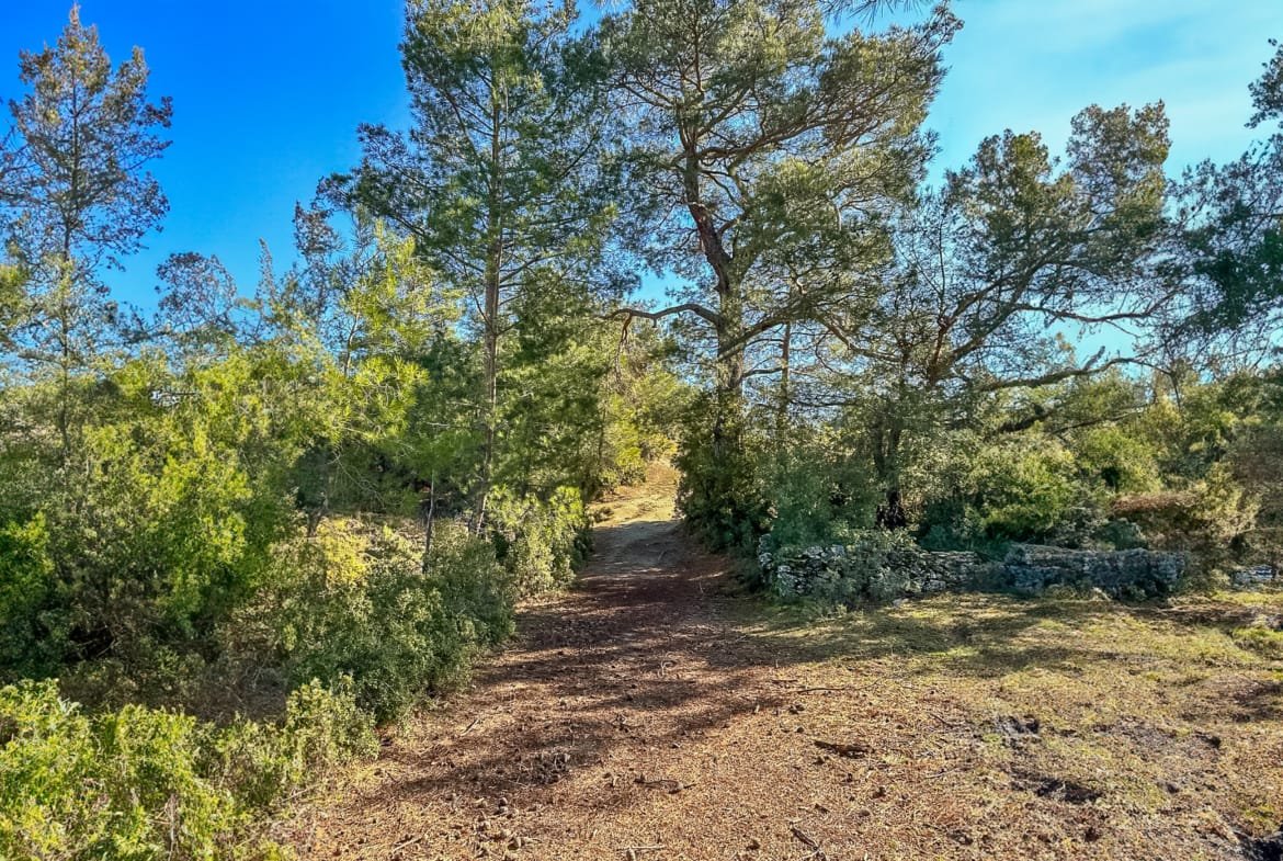 Menteşe Dokuzçamda Yola Cepheli 6.338 m² Müstakil Tapulu