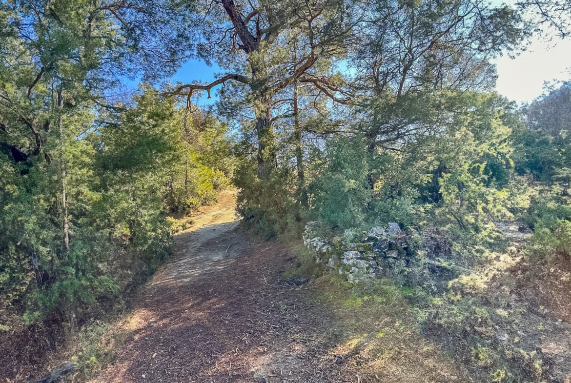 Menteşe Dokuzçamda Yola Cepheli 6.338 m² Müstakil Tapulu