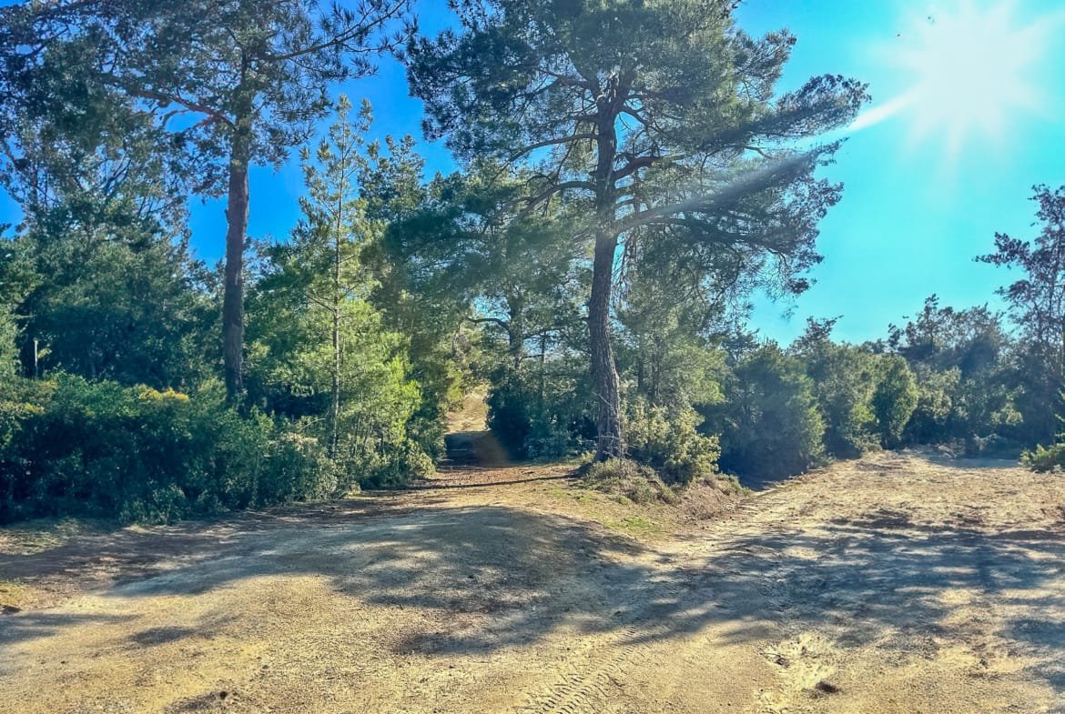 Menteşe Dokuzçamda Yola Cepheli 6.338 m² Müstakil Tapulu