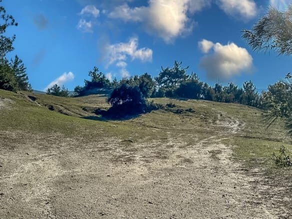 Menteşe Dokuzçamda Yola Cepheli 6.338 m² Müstakil Tapulu