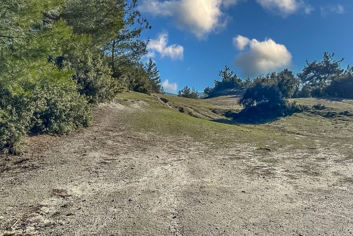 Menteşe Dokuzçamda Yola Cepheli 6.338 m² Müstakil Tapulu