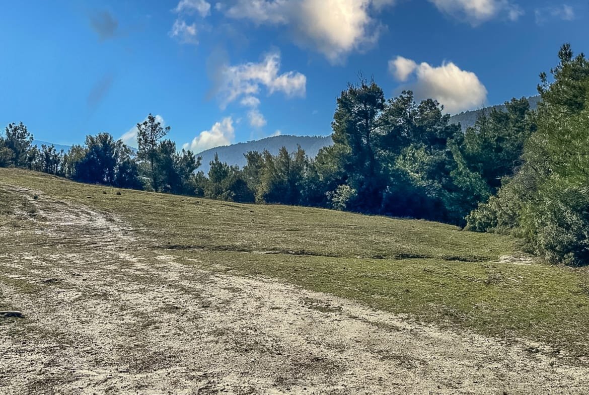 Menteşe Dokuzçamda Yola Cepheli 6.338 m² Müstakil Tapulu