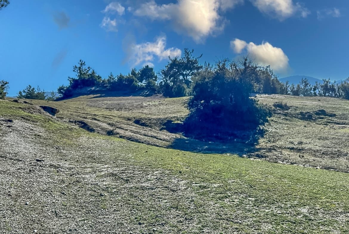 Menteşe Dokuzçamda Yola Cepheli 6.338 m² Müstakil Tapulu
