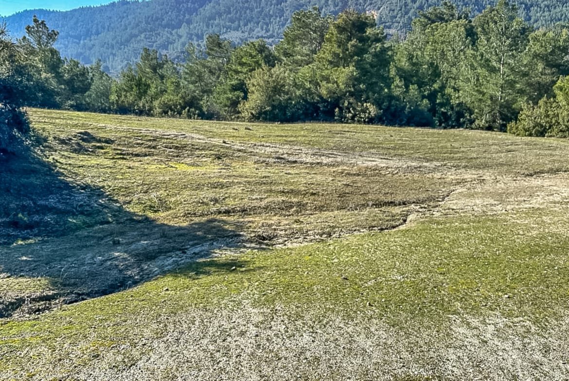 Menteşe Dokuzçamda Yola Cepheli 6.338 m² Müstakil Tapulu