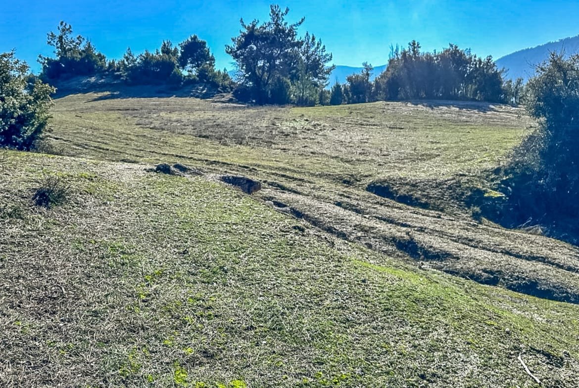 Menteşe Dokuzçamda Yola Cepheli 6.338 m² Müstakil Tapulu