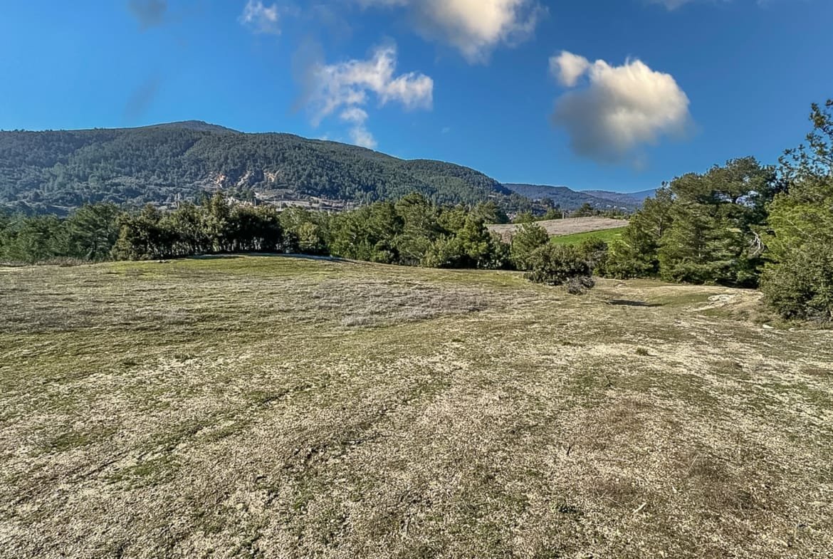 Menteşe Dokuzçamda Yola Cepheli 6.338 m² Müstakil Tapulu