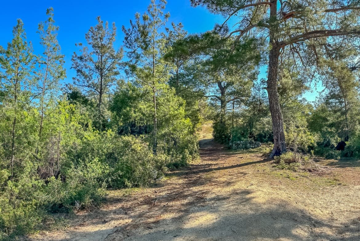Menteşe Dokuzçamda Yola Cepheli 6.338 m² Müstakil Tapulu